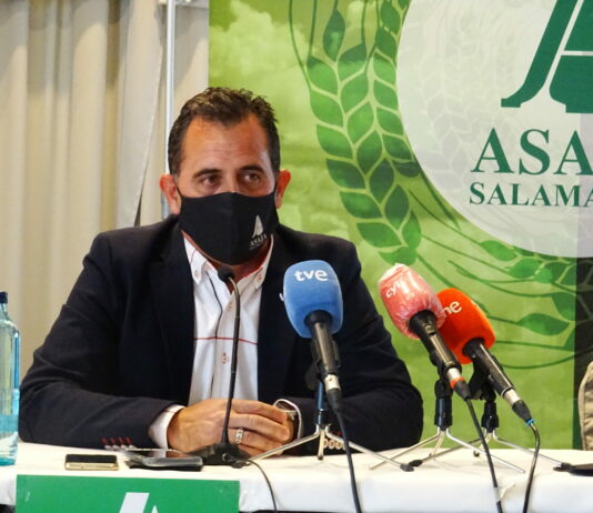 «Contaminadores, maltratadores de animales y culpables de la muerte de Manolete»