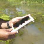 La Junta trabaja en la actualización de los datos sobre el estado de conservación de las especies de flora y fauna protegida de Castilla y León