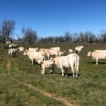 El Gobierno publica la orden de módulos del IRPF 2020 que recoge importantes reducciones para agricultores y ganaderos