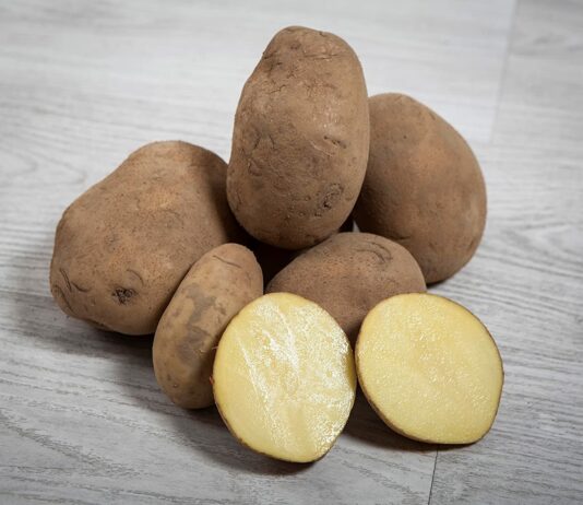 Las exportaciones tienen un papel preponderante en cultivos estratégicos para Castilla y León como son la planta madre de fresa y la patata de siembra