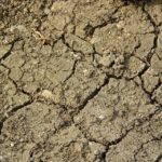 Ampliado el plazo para la bonificación de intereses de los préstamos por sequía hasta el 21 de mayo