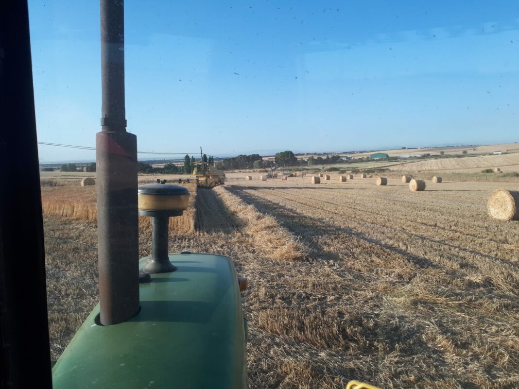 Cosecha del pasado 2020, en la provincia de Salamanca. Cosecha del pasado 2020, en la provincia de Salamanca.