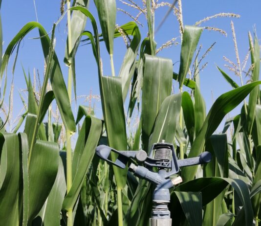 Lonja Agropecuaria de Salamanca del 17 de mayo de 2021