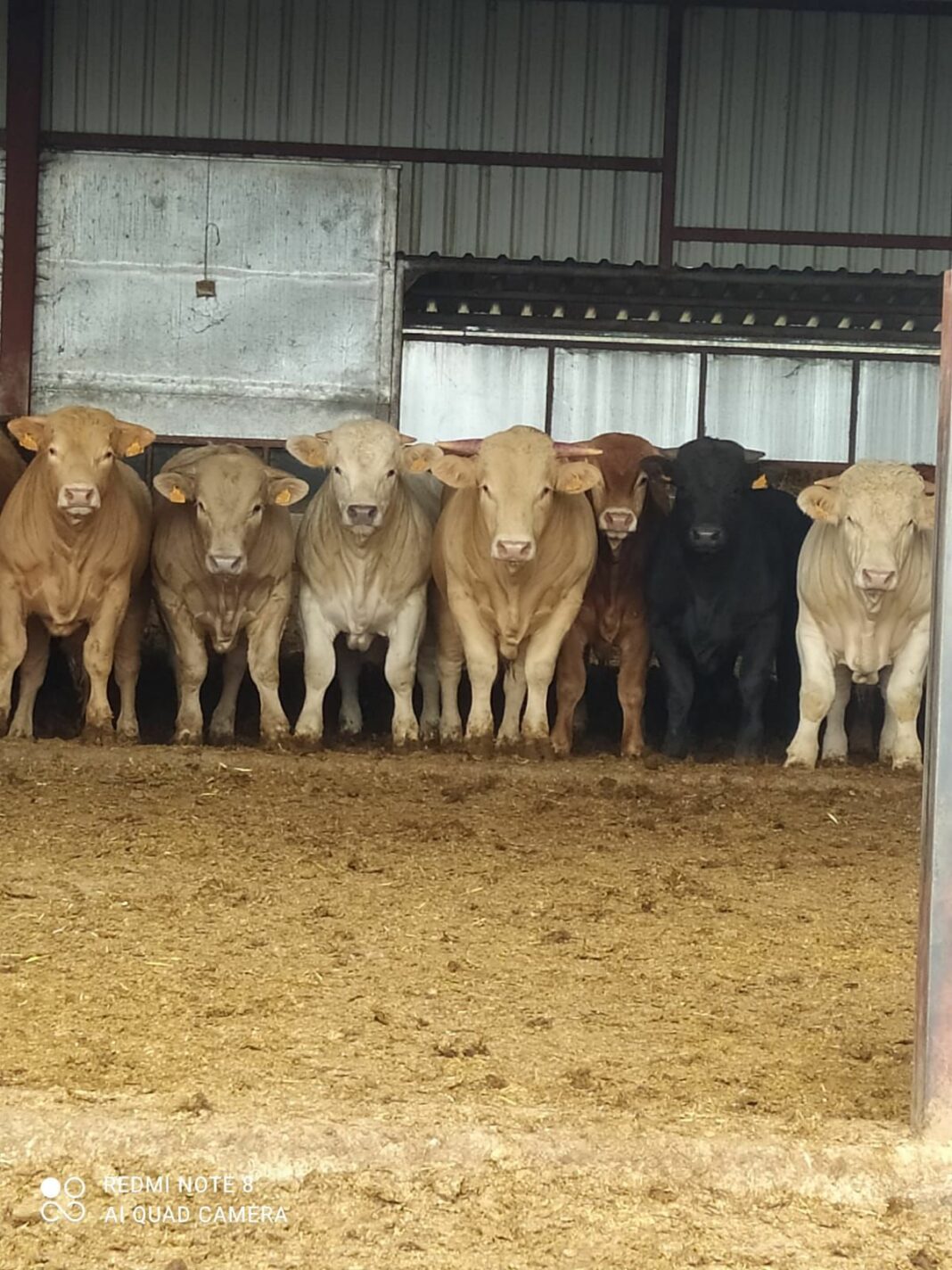 WhatsApp Image 2021-04-22 at 11.14.38 (2)