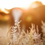 Nuevas ayudas directas para apoyar a sectores económicos afectados por la COVID-19