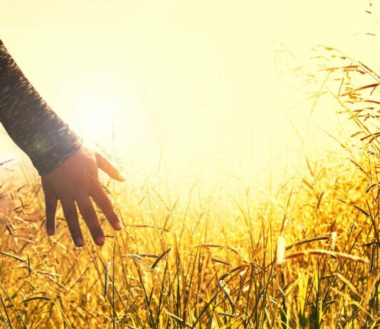 Abierto el plazo de solicitudes para el curso de Incorporación a la Empresa Agraria