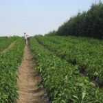 Se convocan subvenciones públicas en materia de seguridad y salud laboral