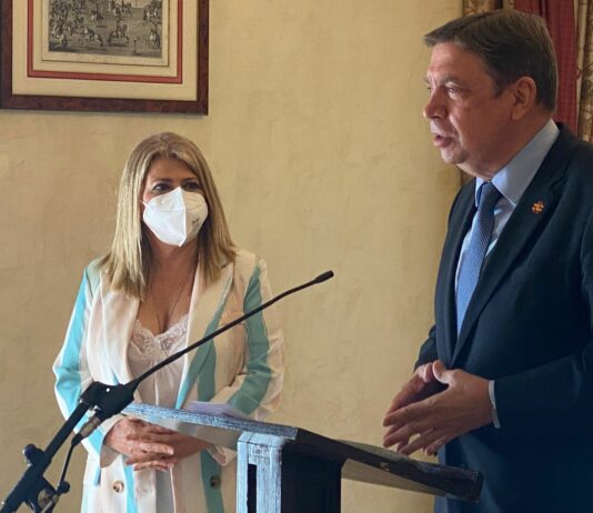 Luis Planas señala que “no estamos demasiado lejos” para llegar a un acuerdo sobre la PAC bajo la presidencia portuguesa de la UE