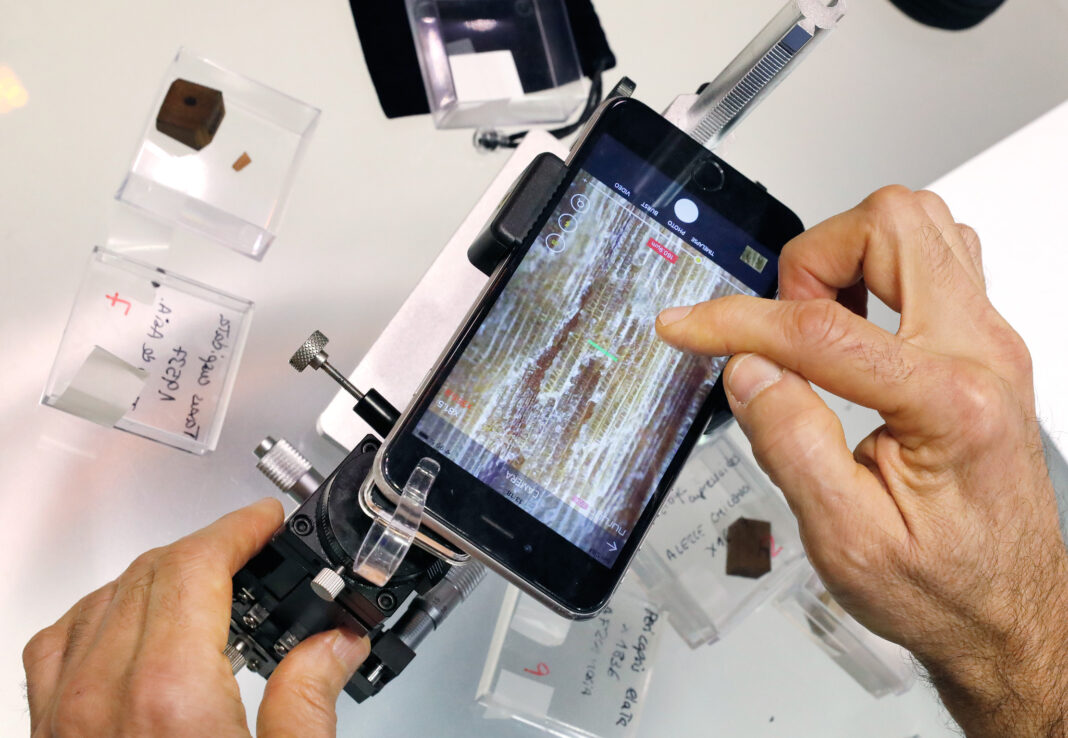 210616traficomaderas_tcm30-528113