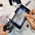 Lanzan una guía macroscópica de alerta temprana para combatir el tráfico ilegal de madera