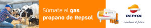 REPSOL - Inventemos el futuro - Súmate al gas propano de Repsol