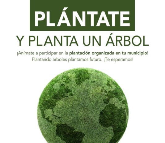 La Diputación de Salamanca pone en marcha en el Día Mundial del Medio Ambiente el proyecto ARBOLAR en municipios