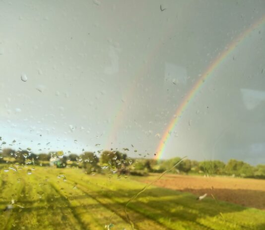 Las ayudas al Plan Renove se podrán solicitar desde el 15 de junio al 15 de septiembre