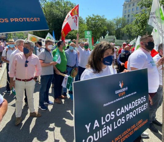 ASAJA Salamanca secunda la protesta contra la sobreprotección del lobo en Madrid