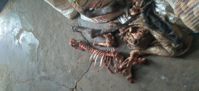 WhatsApp Image 2021-06-17 at 14.12.07