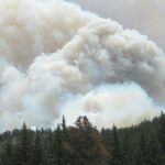 La Junta declara el peligro medio de incendios forestales en Castilla y León