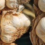 La Mesa Nacional del Ajo confía en que se recuperen los precios