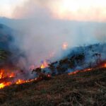La Junta fija la época de peligro alto de incendios forestales del 1 de julio al 30 de septiembre