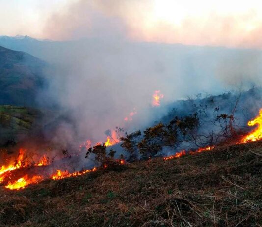 La Junta fija la época de peligro alto de incendios forestales del 1 de julio al 30 de septiembre