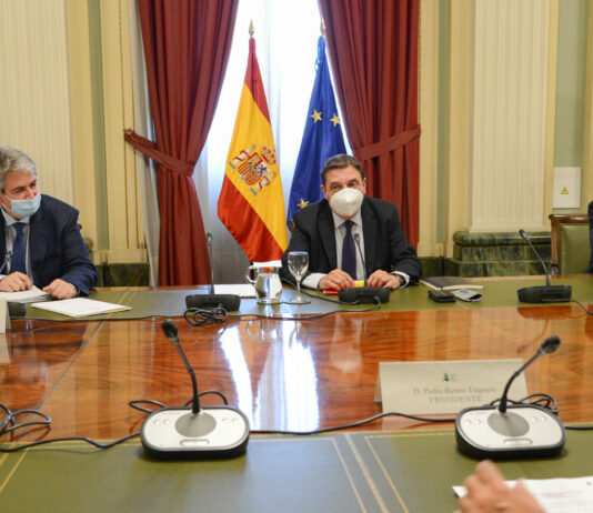 Luis Planas traslada a las organizaciones agrarias los últimos avances para cerrar un acuerdo sobre la PAC