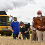 La cosecha de cereal se prevé en 7 millones de toneladas, un 38 % de la producción nacional