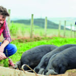 ¡Ahora, disfruta de un proyecto conjunto de gas propano y autoconsumo con placas fotovoltaicas de Repsol!