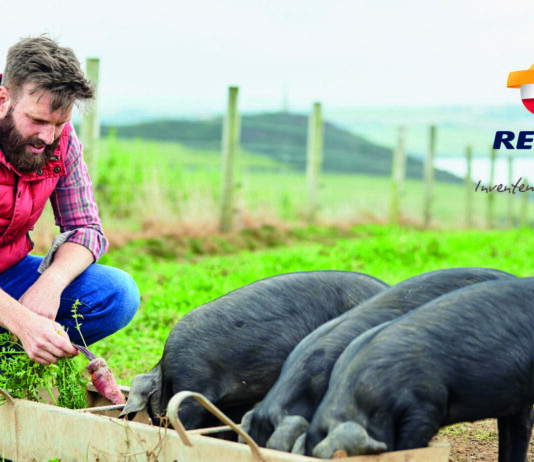 ¡Ahora, disfruta de un proyecto conjunto de gas propano y autoconsumo con placas fotovoltaicas de Repsol!