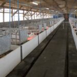 El MAPA inicia el procedimiento de consulta pública para el Registro General de Mejores Técnicas Disponibles en Explotaciones Ganaderas