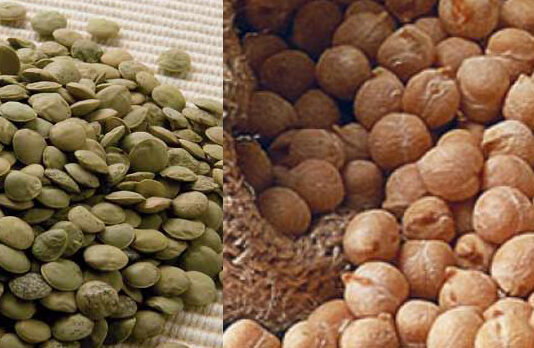 Diputación convoca ayudas para la adquisición de semilla de lenteja y garbanzo certificados