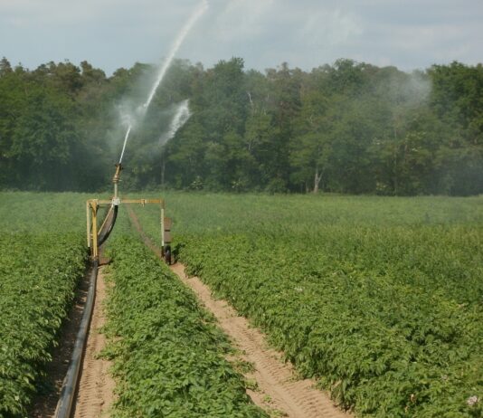 Abierto el plazo para solicitar las ayudas a eficiencia energética en explotaciones agropecuarias e instalaciones de riego