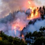 La Junta declara la alerta de riesgos de incendios forestales por causas meteorológicas del 11 al 16 de agosto en toda la comunidad