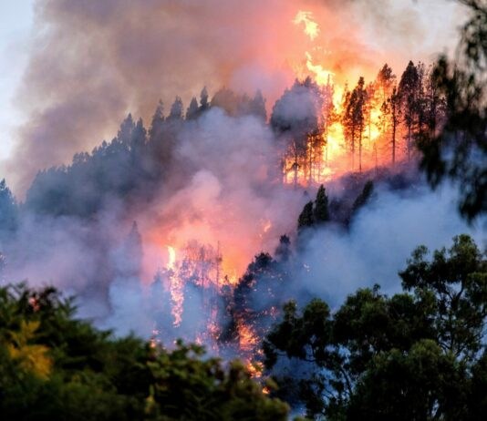 La Junta declara la alerta de riesgos de incendios forestales por causas meteorológicas del 11 al 16 de agosto en toda la comunidad