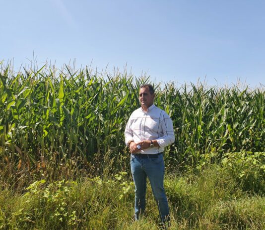 ASAJA augura graves perjuicios en el maíz de la provincia de cumplir la nueva PAC