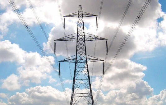 La Junta apuesta por la identificación voluntaria de líneas eléctricas para permitir mejoras técnicas y proteger la avifauna