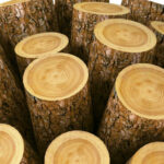 La consejería ha concedido subvenciones destinadas a inversiones en tecnologías, transformación, movilización y comercialización de productos forestales