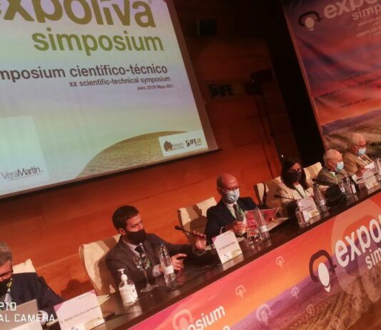 El director general de la Industria Alimentaria explica los objetivos de la nueva norma de calidad del aceite de oliva