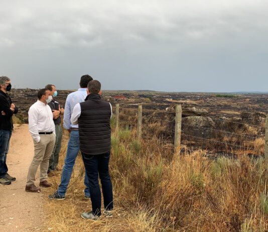 ASAJA solicitará levantamientos de acotado de pastos tras los incendios en San Felices de los Gallegos