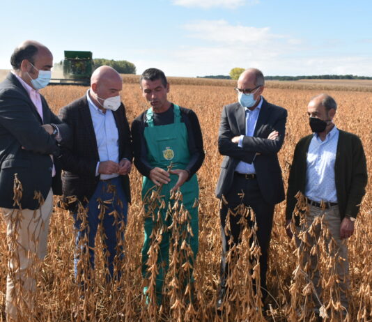 La soja de un socio de ASAJA Salamanca despierta el interés del consejero de Agricultura