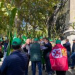 WhatsApp Image 2021-10-15 at 12.42.29