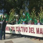 WhatsApp Image 2021-10-15 at 13.10.20