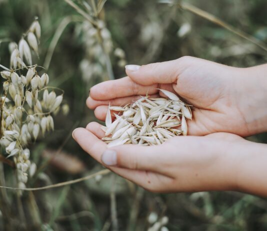 Lonja Agropecuaria de Salamanca del 25 de octubre de 2021