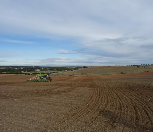 Publicados los valores medios definitivos de las regiones para el pago básico de 2021