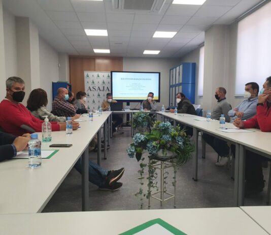 ASAJA Salamanca tilda de “incongruentes” ciertas medidas que se intentan imponer con la ordenación de explotaciones bovinas