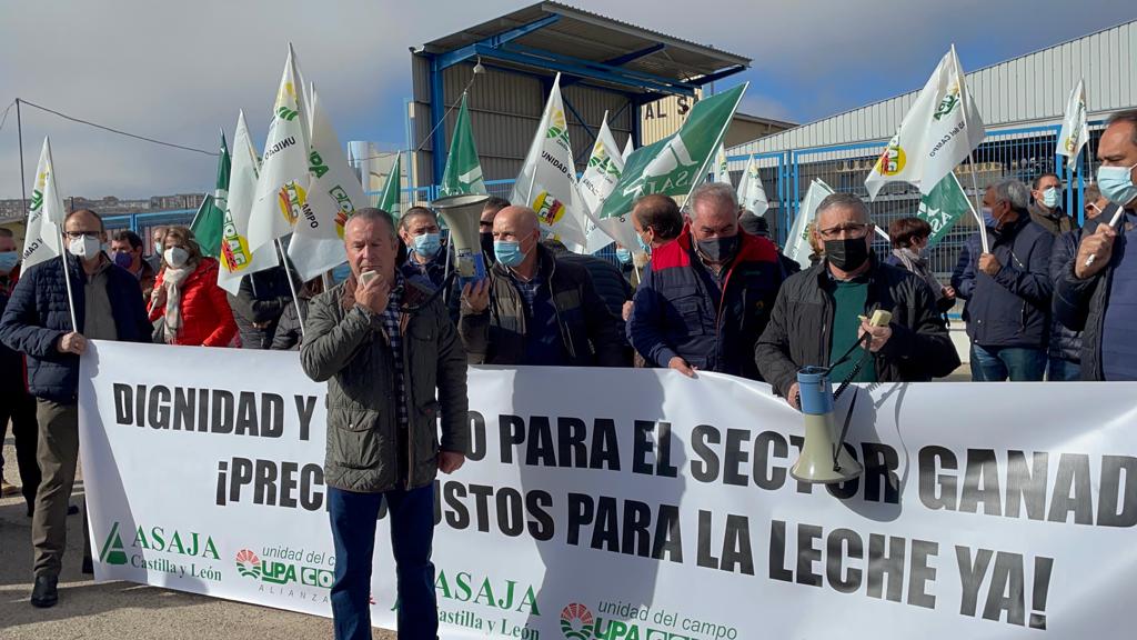 WhatsApp Image 2021-11-09 at 14.00.02 (1)