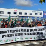 Autorizados 5’2 millones de euros a los titulares de vacuno de leche