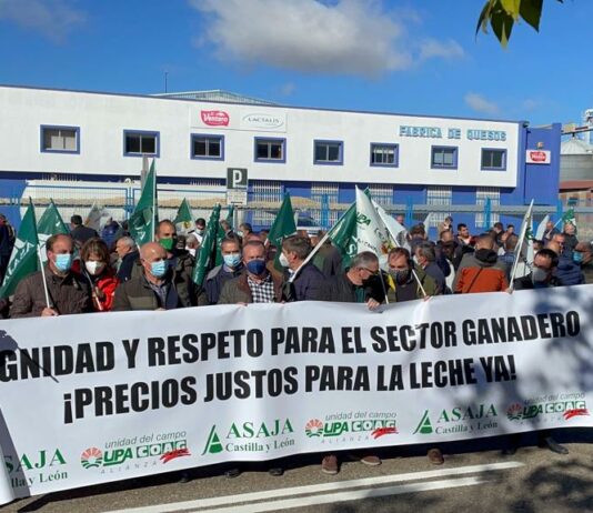 Autorizados 5’2 millones de euros a los titulares de vacuno de leche