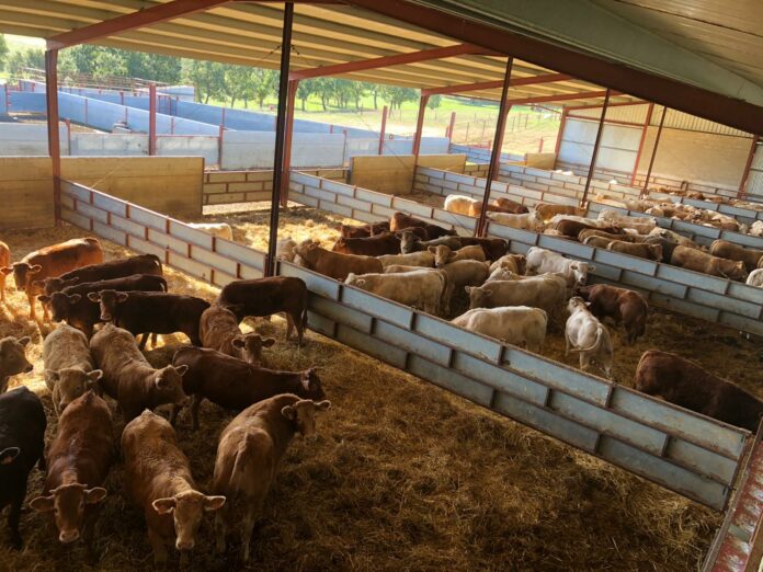 WhatsApp Image 2021-11-25 at 12.01.56