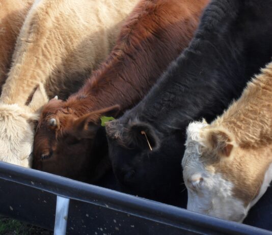 ASAJA, COAG y UPA piden un plan de choque urgente para el sector agrario