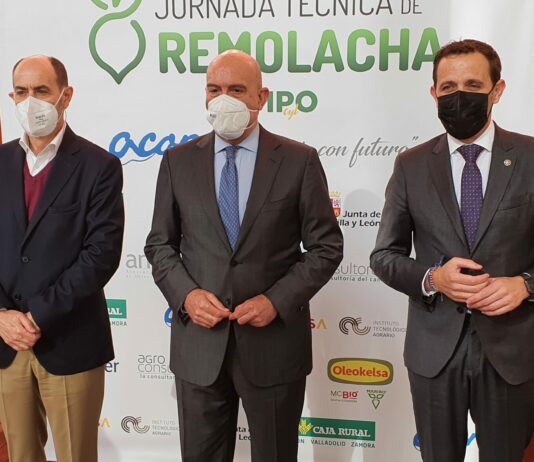 Los cultivadores de remolacha de Castilla y León podrán recibir anualmente, a partir de 2023 y hasta 2027, aproximadamente 13 millones de euros en concepto de ayudas asociadas