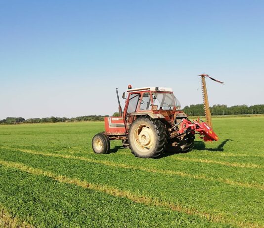 Nuevas bases reguladoras para la concesión de ayudas del Plan Renove